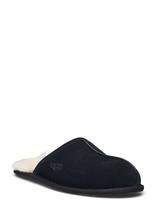 UGG - M Scuff - Šlepetės - Juoda