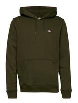 Dickies - Oakport Hoodie - Džemperis - Žalia
