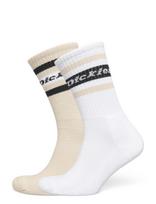 Dickies - Genola - Įprastos kojinės - Balta