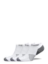 PUMA Golf - Puma Essential Low Cut 3 Pair Pack - Futbolo kojinės iki kulkšnių - Balta