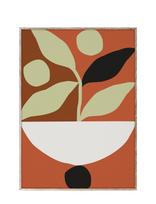 Paper Collective - Maceta - 30X40 - Plakatas - Marga / raštuota