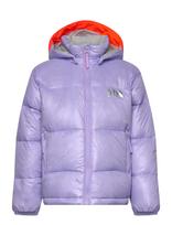Helly Hansen - K Isfjord Down Jacket - Striukė - Violetinė