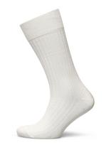 AN IVY - Off White Ribbed Socks - Įprastos kojinės - Balta