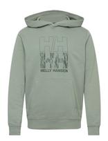 Helly Hansen - Core Graphic Sweat Hoodie - Džemperis - Žalia