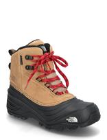 The North Face - Y Chilkat V Lace Wp - Žieminiai batai su raišteliais - Smėlio