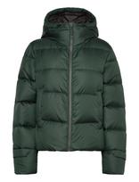 Helly Hansen - W Essence Down Jacket - Paminkštinta striukė - Žalia