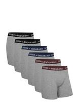 Danish Endurance - Classic Trunks (Men) 3-Pack - Apatinės kelnaitės - Pilka