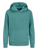 Jack & Jones - Jjebradley Sweat Hood Noos Jnr - Džemperis - Žalia