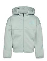 Adidas Sportswear - J Z.n.e.fz - Džemperis - Žalia