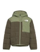 The North Face - B Reversible Shasta Fz Hooded Jacket - Dygsniuota striukė - Chaki spalva