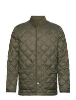 Morris - Winston Jacket - Dygsniuota striukė - Žalia