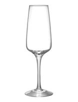 Orrefors - Pulse Champagneglas 28Cl 4-Pak - Šampano taurės - Nude