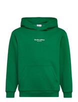 Name It - Nkmbrody Ls Nreg Sweat Wh Bru Noos - Džemperis - Žalia
