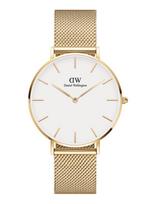 Daniel Wellington - Petite 32 Evergold G White - Analoginis laikrodis - Aukso