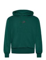 Adidas Sportswear - M Feelcozy Hd - Sportinis džemperis su gobtuvu - Žalia