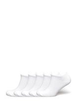 ZEBDIA - 5-Pk Tennis Footies - Sportinės kojinės - Balta
