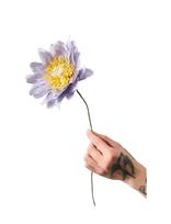 Studio About - Paper Flower - Džiovintos gėlės - Violetinė