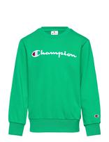Champion - Crewneck Sweatshirt - Megztinis - Žalia