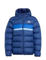 Adidas Sportswear - J Sd Jkt - Striukė - Mėlyna