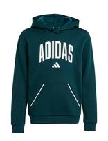 Adidas Sportswear - J Clgt Oh Fl Hd - Džemperis - Žalia