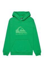 Quiksilver - Comp Logo Hoodie Youth - Džemperis - Žalia