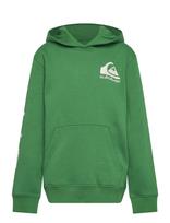 Quiksilver - Omni Logo Hoodie Youth - Džemperis - Žalia