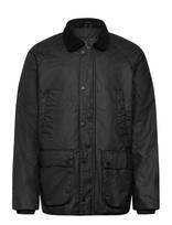 INDICODE - Indutton - Parka stiliaus striukė - Juoda