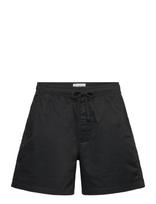 Hollister - Hco. Guys Shorts - Laisvalaiko marškiniai - Juoda