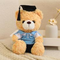 Doctor Bear Teddy Bear Doll Plush Toy Teddy Bear Hug Bear Doll Graduation Memorial Gift 23cm（0.14kg）
