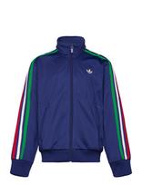 Adidas Originals - Firebird Lo Tt - Megztinis - Mėlyna