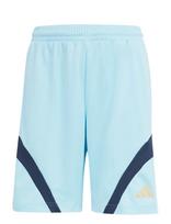 Adidas Sportswear - J Hot Sho - Sportiniai šortai - Mėlyna