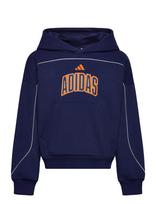 Adidas Sportswear - J Std Hd - Džemperis - Tamsiai mėlyna