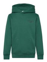 Björn Borg - Borg Essential 1 Hoodie - Džemperis - Žalia
