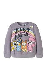 Name It - Nmfjenney Bluey Sweat Bru Sky - Megztinis - Pilka