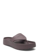 Calvin Klein - One Piece Eva Flip Flop Thong - Šlepetės - Violetinė