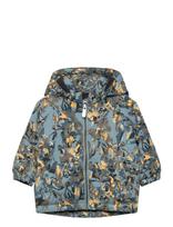 Color Kids - Baby Jacket - Aop - Žieminė kepurė - Marga / raštuota