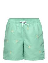 Ralph Lauren Kids - Traveler Polo Pony Swim Trunk - Maudymosi šortai - Žalia