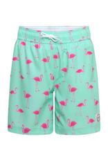 Abercrombie Kids - Sm-Swim Short - Maudymosi šortai - Marga / raštuota