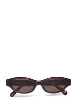 Corlin Eyewear - Alba Brown Brown - Akiniai nuo saulės - Ruda