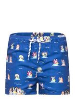 Bluey - Swimwear - Maudymosi šortai - Mėlyna