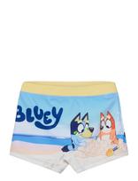 Bluey - Swimwear - Maudymosi šortai - Mėlyna