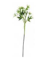 House Doctor - Artificial Flower, Hderyngium, Whit - Džiovintos gėlės - Balta