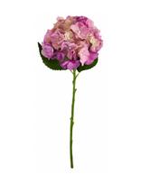 House Doctor - Artificial Flower, Hdhydrangea, Pin - Džiovintos gėlės - Rožinė