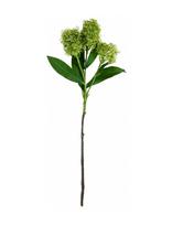 House Doctor - Artificial Flower, Hdskimmia, Green - Džiovintos gėlės - Žalia