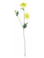 House Doctor - Artificial Flower, Hdgerbera, Yello - Džiovintos gėlės - Geltona