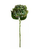 House Doctor - Artificial Flower, Hdhydrangea, Gre - Džiovintos gėlės - Žalia