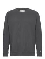 Champion - Crewneck Long Sleeve T-Shirt - Sportinis megztinis - Pilka