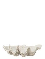 J-Line - Deco Bowl Seashell Res Wh S - Dekoratyvinė lėkštė - Balta