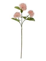 Bloomingville - Chrysantemum Stem - Džiovintos gėlės - Rožinė