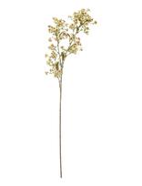 Bloomingville - Waxflower Stem - Džiovintos gėlės - Balta